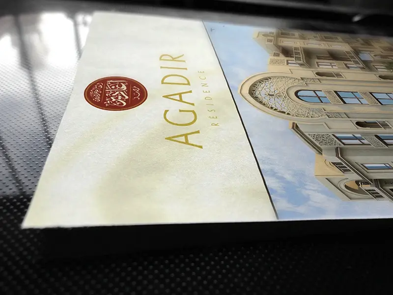 Decorative Pillow Cover